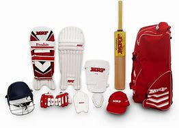 Image result for Cricket Kit for Kids