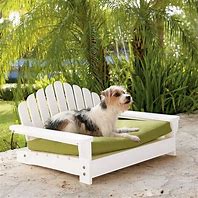 Image result for Outdoor Dog Furniture