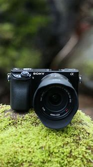 Image result for HD Sony Camera Photography