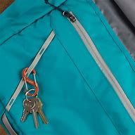 Image result for Double Carabiner with Swivel