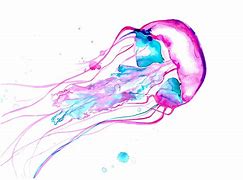 Image result for Jellyfish No Background