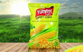 Image result for Food Product Packaging Design