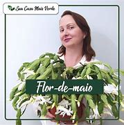 Image result for Brazil Flowers