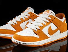 Image result for Nike Dunk SB Shoe