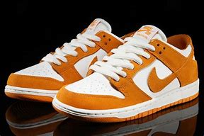 Image result for Dunk Shoe