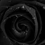 Image result for Beautiful Dark Wallpapers