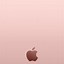 Image result for Rose Gold iPhone 6 No iPhone Jack