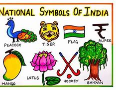 Image result for National Symbols for Kids