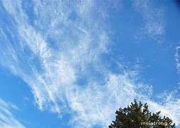 Image result for cirrocumulus