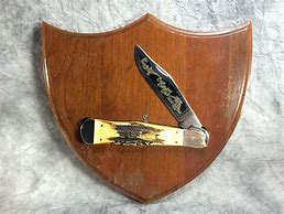 Image result for Case Collector Knives