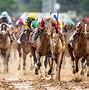 Image result for Professional Horse Jockey