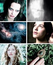 Image result for Andromeda Black vs Bellatrix