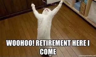 Image result for Happy Retirement Cat Meme