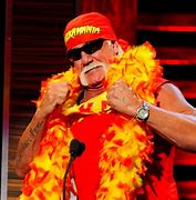 Image result for Hulk Hogan Returns