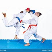 Image result for Karate Punches