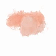 Image result for Coral Pink Objects