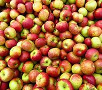 Image result for Show Me a Pic of a Real Apple