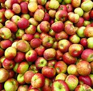 Image result for 7 Apple's