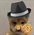 Image result for 1080X1080 Dog Meme Hat