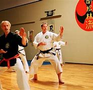Image result for Okinawan Karate Stances