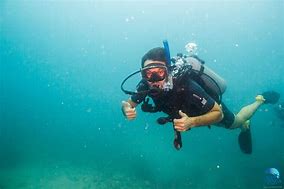 Image result for buceo