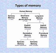 Image result for Nine Different Images for Memory