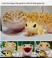 Image result for Funny Gecko Memes