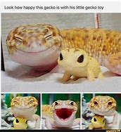 Image result for Animal Facts Gecko Meme