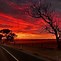 Image result for Road Sunset iPhone Wallpaper