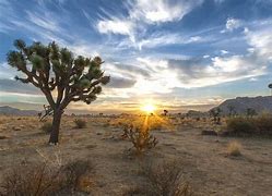 Image result for Dry Desert California