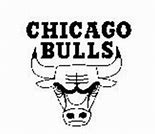Image result for Chicago Bulls Game