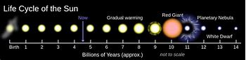 Image result for Tree Life Cycle Chart