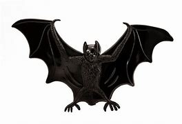 Image result for White Plastic Toy Bat