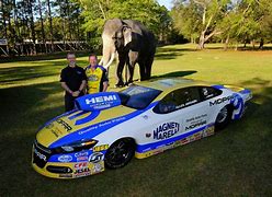 Image result for NHRA Stock Mustang