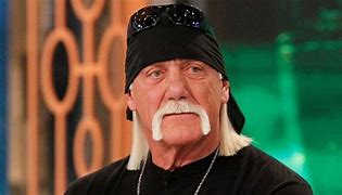 Image result for Hulk Hogan Rock'n Wrestling
