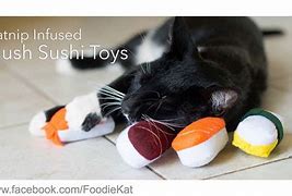 Image result for Catnip Infused Toys