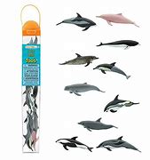 Image result for Dolphin Baby Toob
