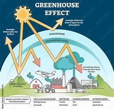 Image result for Greenhouse Effect Meme