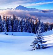 Image result for Winter Wallpaper 4K 34