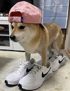 Image result for Dog in Drip Clothes
