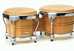 Image result for bongo