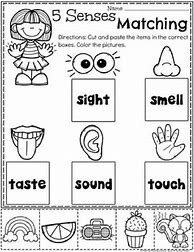 Image result for Five Senses Chart Preschool