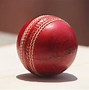 Image result for Cricket Lover Text