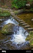 Image result for Stepping Stones in Tollymore Forest Park