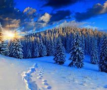 Image result for inverno
