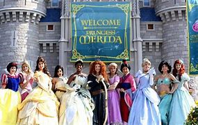 Image result for Disney 11 Princess Magic Kingdom Little