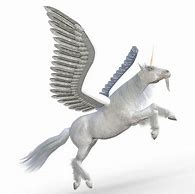 Image result for Real Pegasus Unicorns