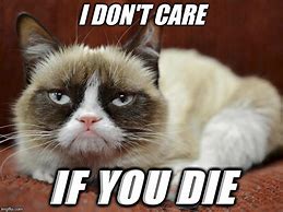 Image result for Savage Grumpy Cat Memes Clean
