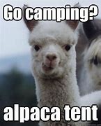 Image result for Dirty Camping Memes