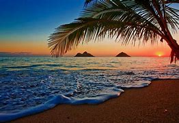 Image result for Beach Sunrise Hawaii